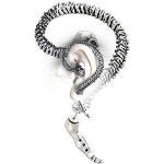 E255 Arete calavera esqueleto