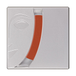 5191 Rubor profesional