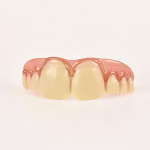 10861 Dientes Mega Grandes