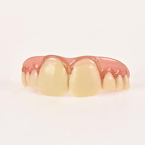 10861 Dientes Mega Grandes