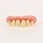 10530 Dientes Pirata Perla