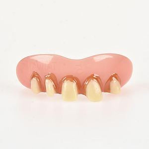 10051 Dientes BillyBob Originales