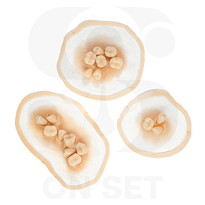 Prostético de Dientes