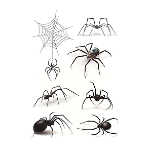 Tatuaje 27A Mod. SC850