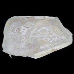 Prostético de Gelatina Mod. 7 Dientes de Zombie