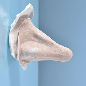 Prostético de nariz Mod. 2