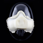 Prostético de cerdo Artist