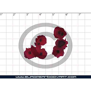 Esténcil Multipiple Gunshot